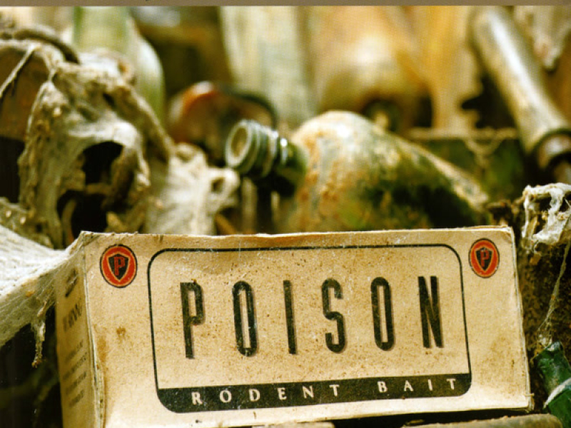 Poison (Single)