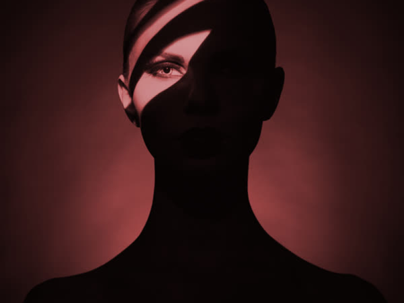 Chasing Shadows (Single)