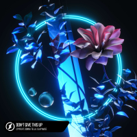 Don't Give This Up (Single)