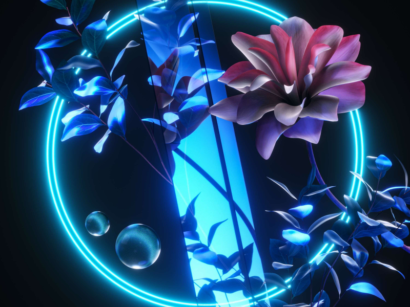 Don't Give This Up (Single)