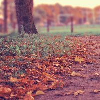 the Tide Is High (EP)