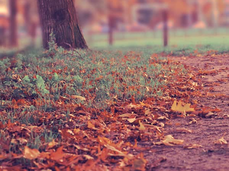 the Tide Is High (EP)