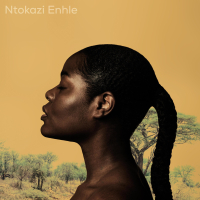 Ntokazi Enhle (with Kgaoza Four40) (Single)