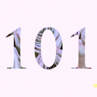 101 (Single)