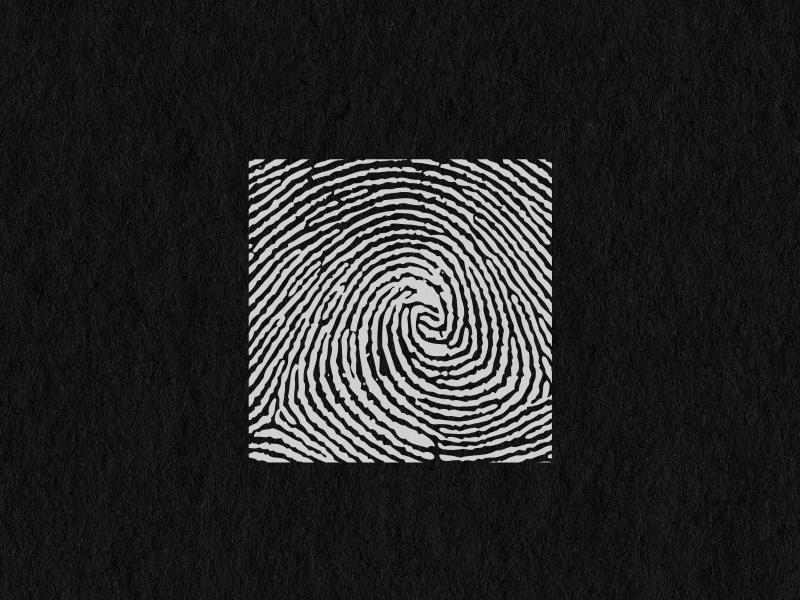 Elmhurst Dub / Anymore