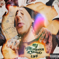 My Vysevirtuous Distorted Life (EP)