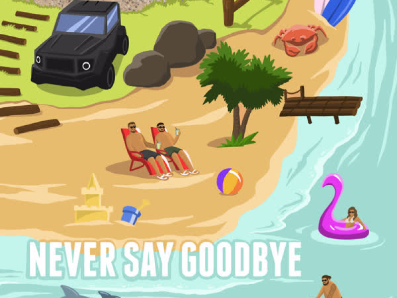 Never say goodbye (Single)