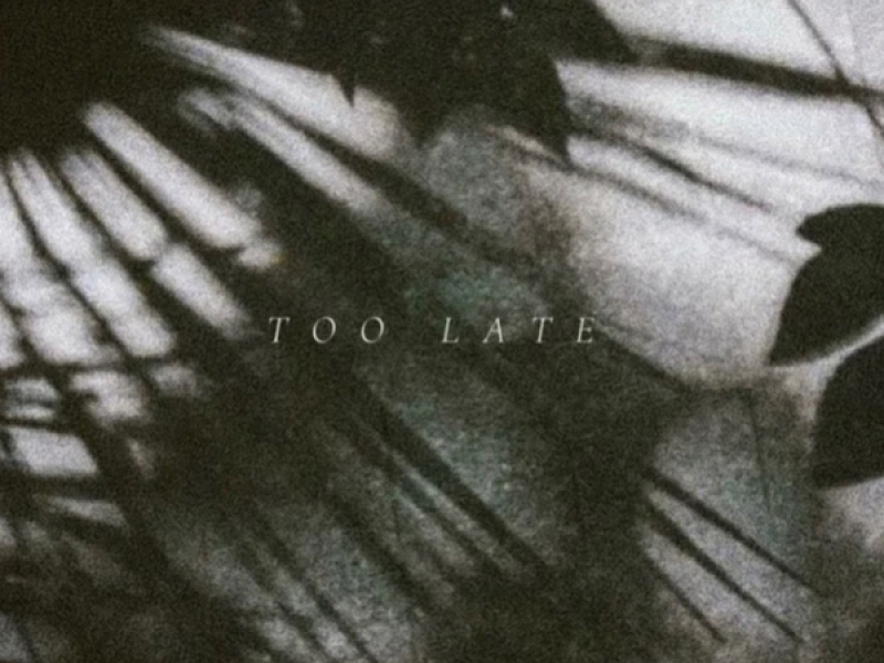 Too Late (Single)