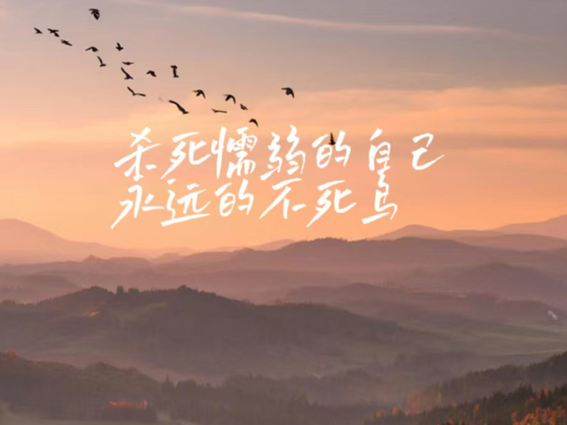 杀死懦弱的自己 永远的不死鸟 (Single)