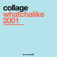 Whatchalike 2001 (Single)