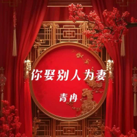 你娶别人为妻 (Single)