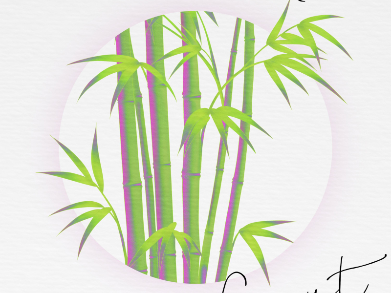 BAMBOO FOREST (feat. DD!) (Single)