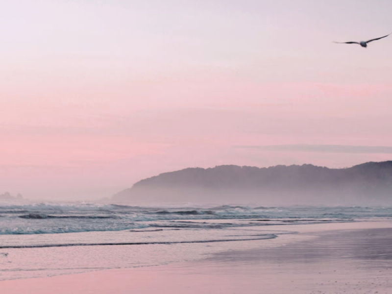 Soft Breeze (Single)