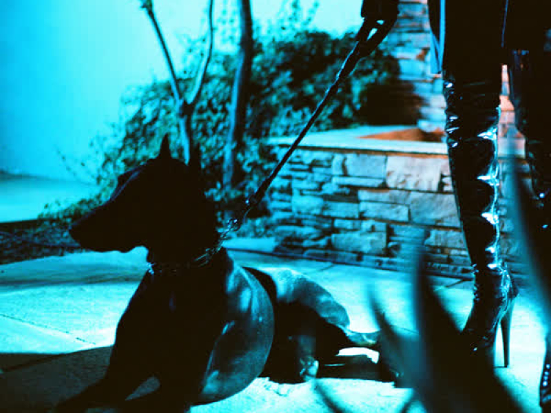 YES IT IS (REMIX) (Single)