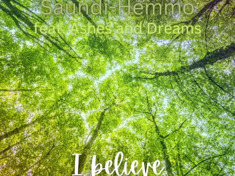 I believe (feat. Ashes and Dreams) [Saundi-Hemmo Remix] (short) (Single)
