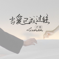 当爱已成过往 (DJ版) (Single)