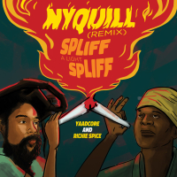 Nyquill (Spliff A Light Spliff) (Remix) (Single)