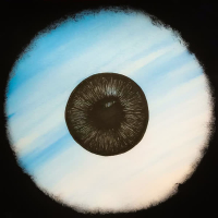 Guiding Light (Alexandra Hamilton-Ayres Rework) (Single)