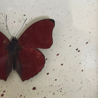 save me from myself (Single)