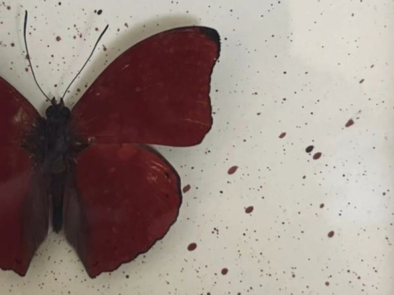 save me from myself (Single)