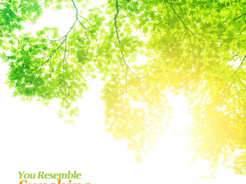 You resemble sunshine (Single)