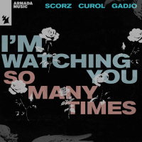 I'm Watching You (So Many Times) (Single)