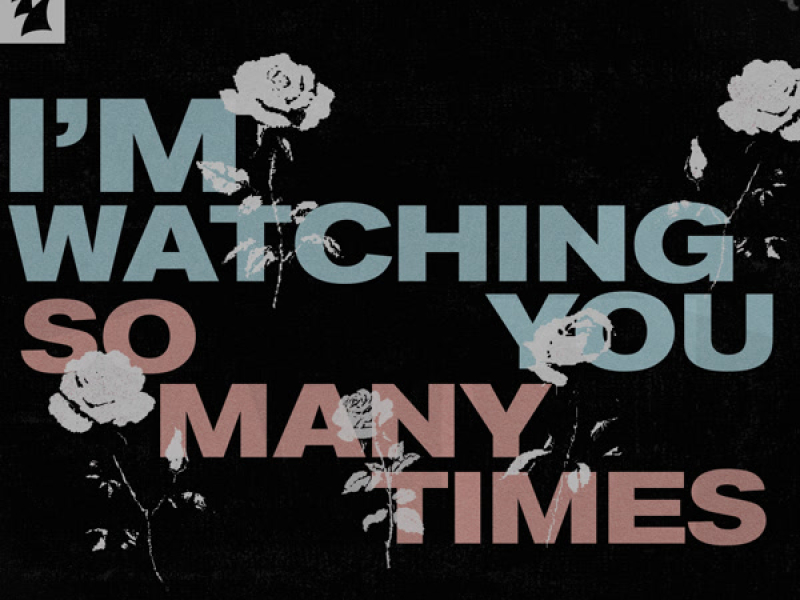 I'm Watching You (So Many Times) (Single)