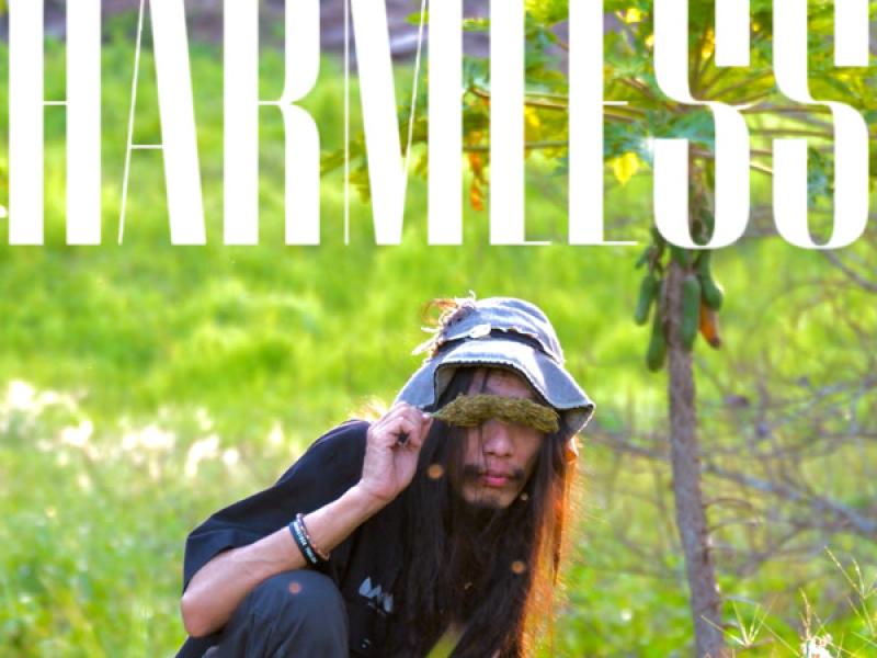 HARMLESS (new version) (Single)