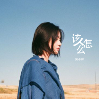 该怎么 (Single)