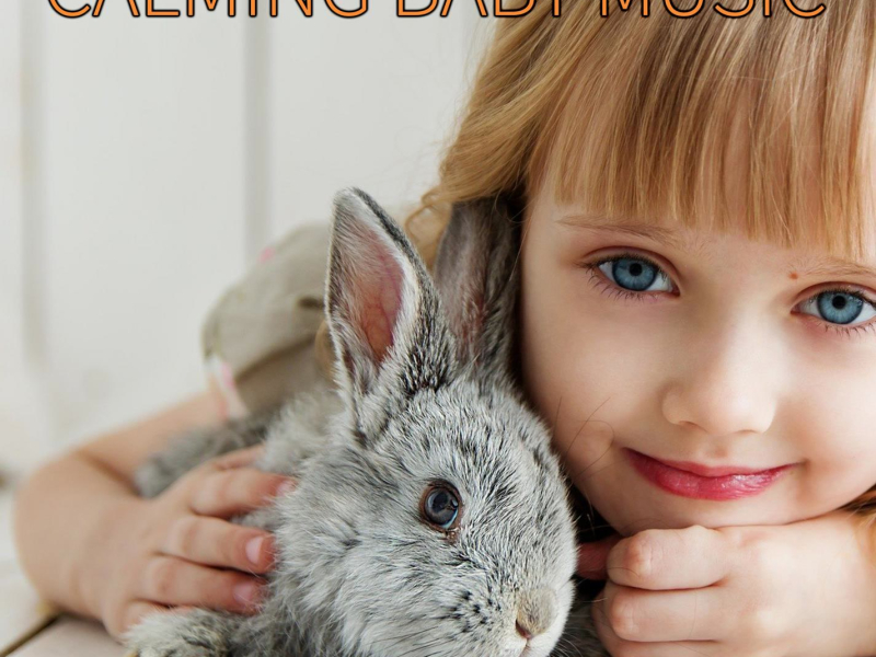 Calming Baby Music: Relaxing Lullaby Sleep Music (Single)