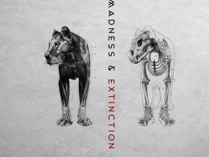 Madness & Extinction