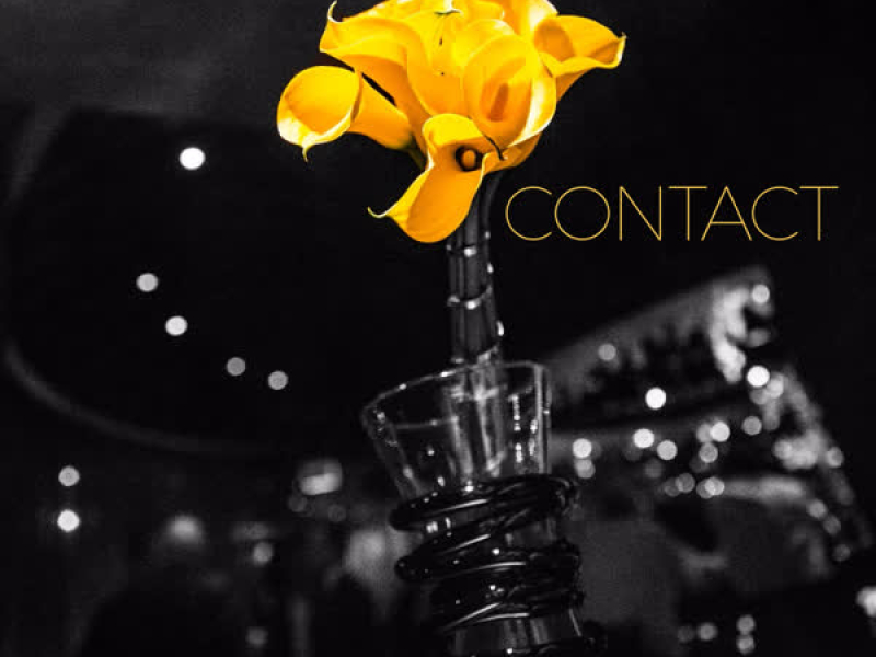 Contact (Single)