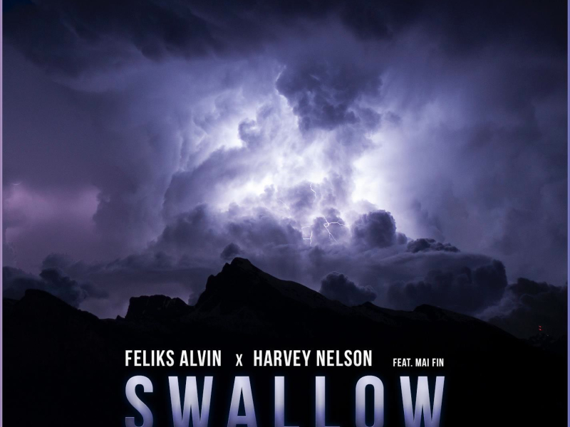Swallow (feat. Mai Fin) (Single)