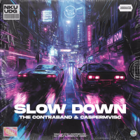 Slow Down (Single)
