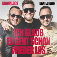 Ich glaub es geht schon wieder los (Single)