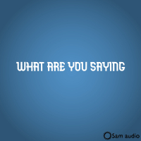 What Are You Saying (Single)