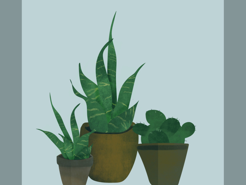 Jazzin Away (Single)