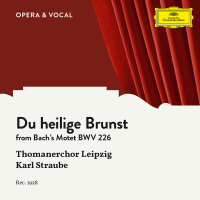 J.S. Bach: Du heilige Brunst (Single)