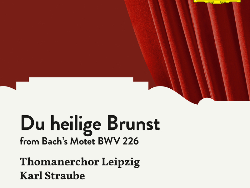 J.S. Bach: Du heilige Brunst (Single)