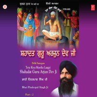 Tera Kiya Meetha Laagai Shahadat Guru Arjun Dev Ji Part-2 Vol-13 (Single)