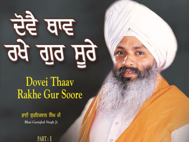 Dovei Thaav Rakhe Gur Soore Part-1 (Single)
