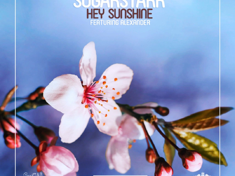 Hey Sunshine (EP)