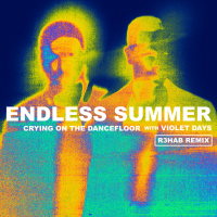 Crying On The Dancefloor (R3HAB Remix) (Single)