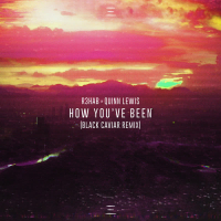 How You've Been (Black Caviar Remix) (Single)