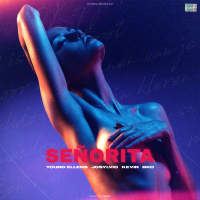 Señorita (Single)