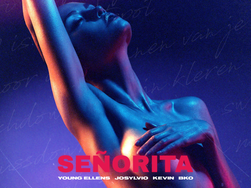 Señorita (Single)