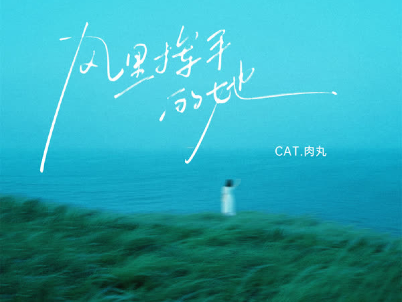 风里挥手的她 (Single)
