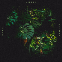 Amiga (Single)