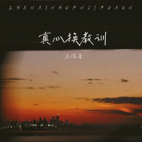 真心换教训 (Single)