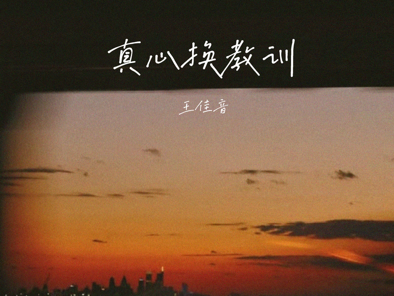 真心换教训 (Single)
